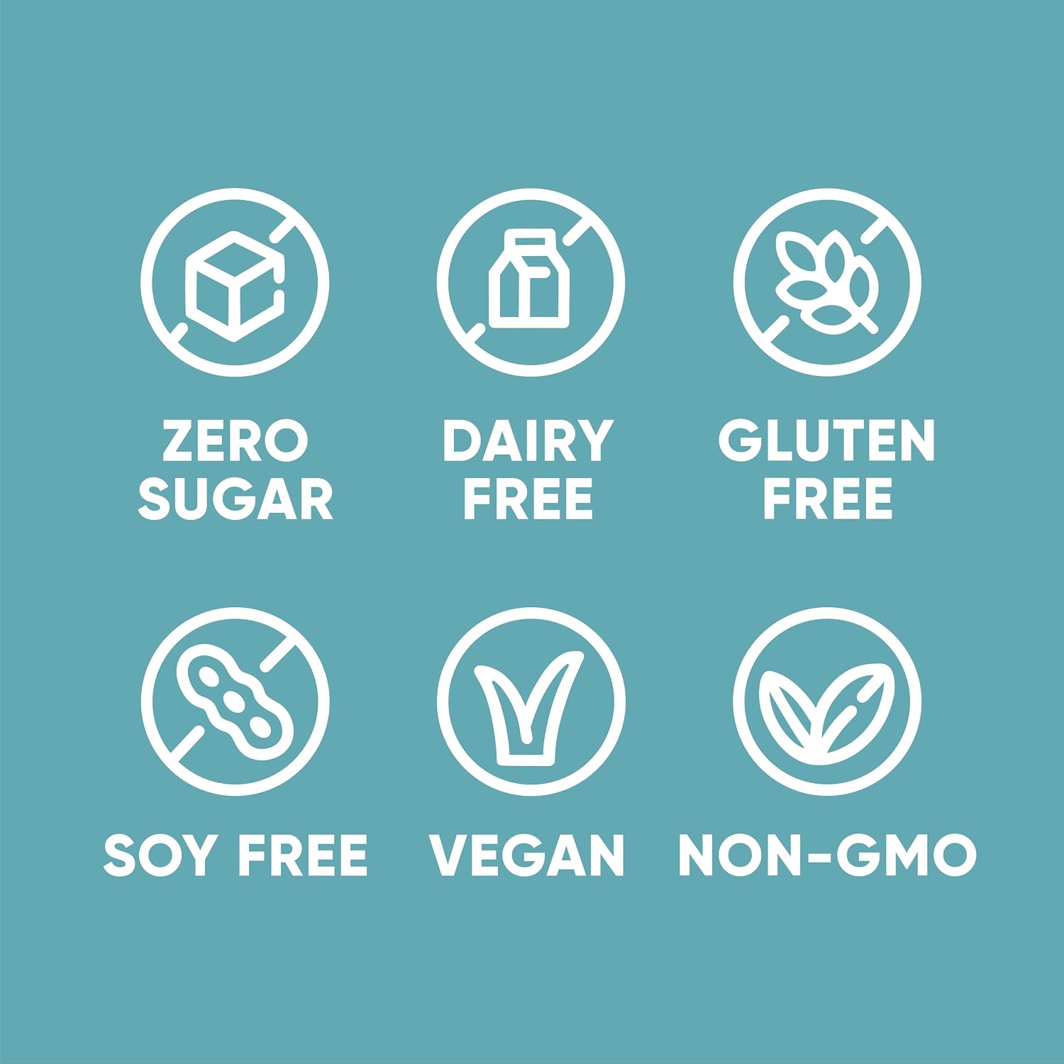 Pirq, 21g Dairy Free Protein Shake, 25 Superfoods, 0g Sugar, Plant-Based Protein Drink, Gluten-Free, Vegan, Kosher, Keto, Low Carb, Low Calorie (12 Pack) (Vanilla)